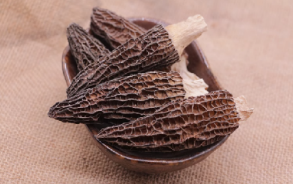 Dried Morel Esculenta