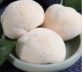 Fresh Hericium Erinaceus