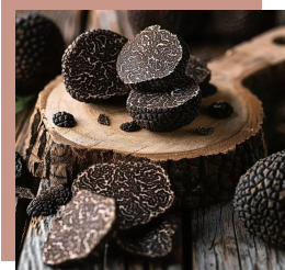 Fresh Yunnan Black Truffle