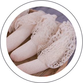 Fresh Zhijin Bamboo Fungus